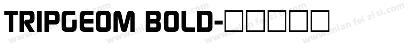 TRIPGEOM BOLD字体转换